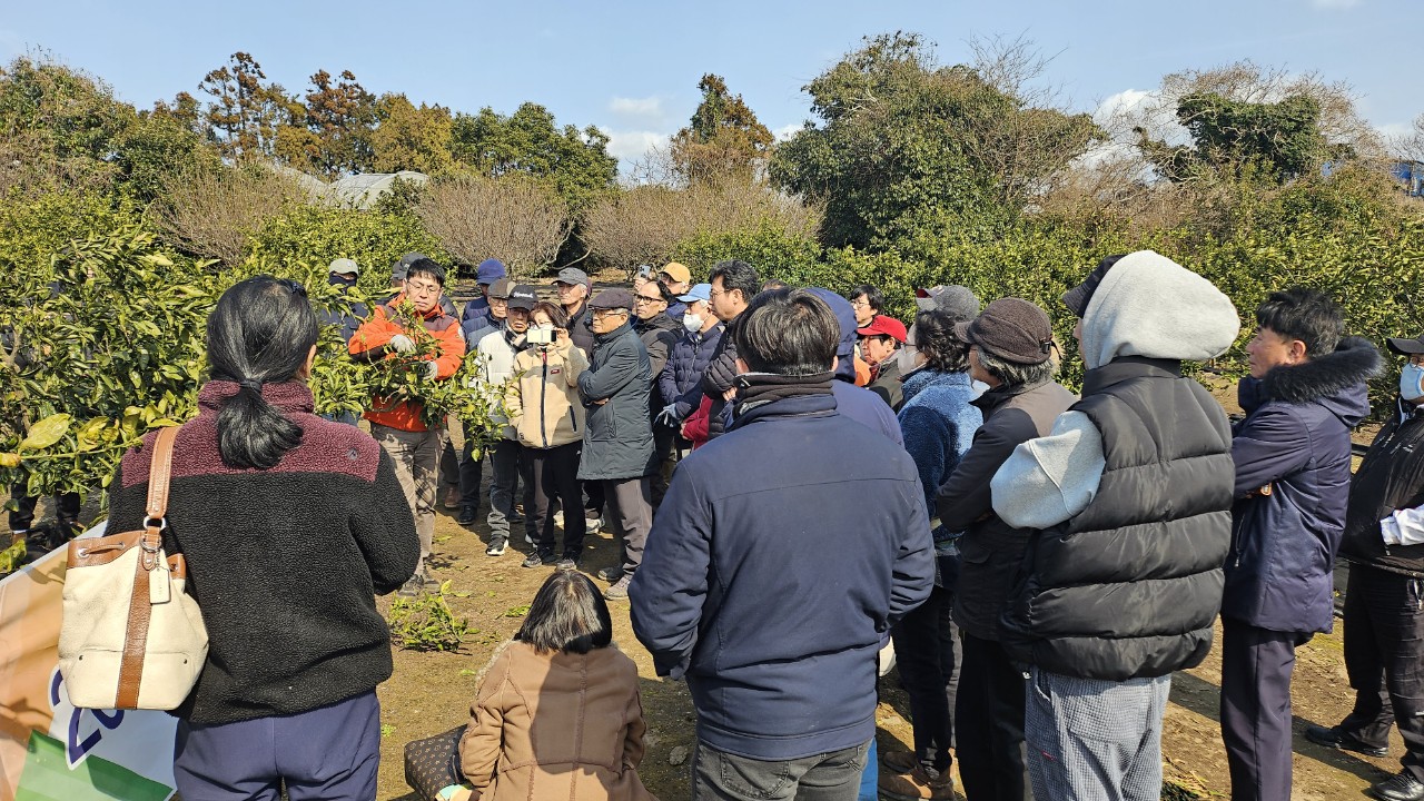 감귤류 정지전정교육(2.20 서부센터)