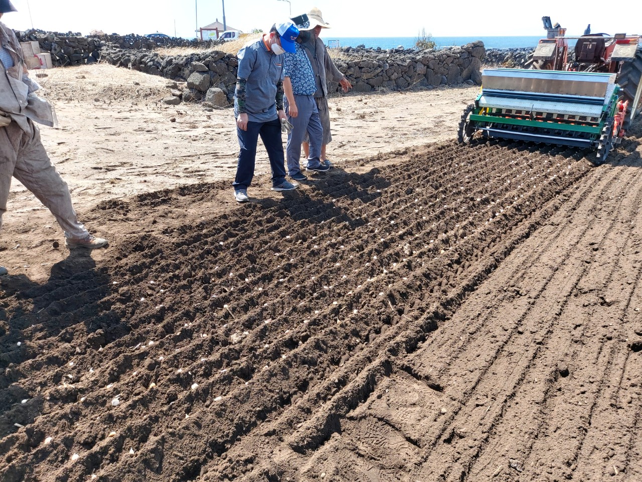 마늘 파종기 현장 시연회