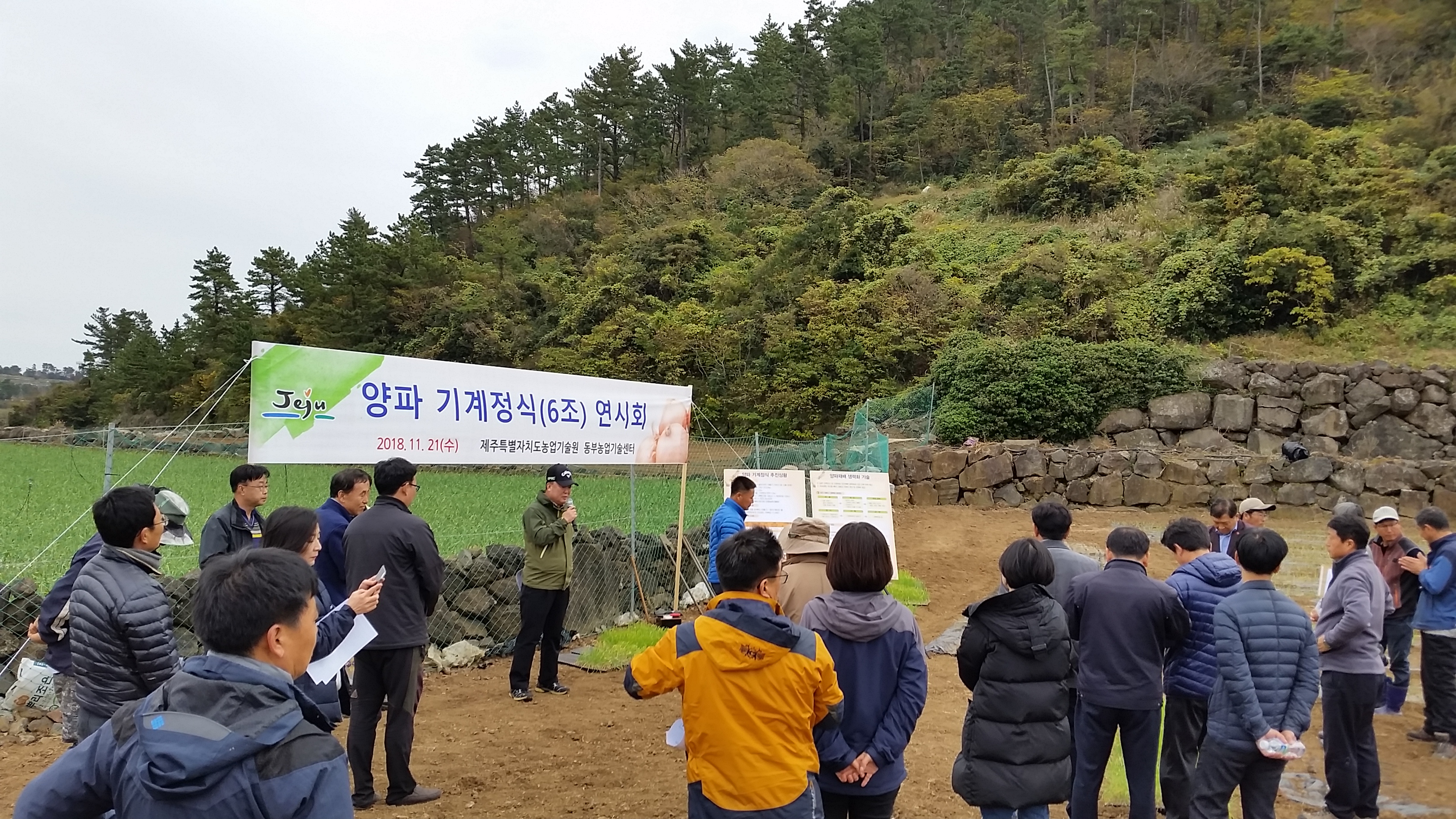[밭작물팀] 2018 양파 기계정식(6조) 연시회 개최