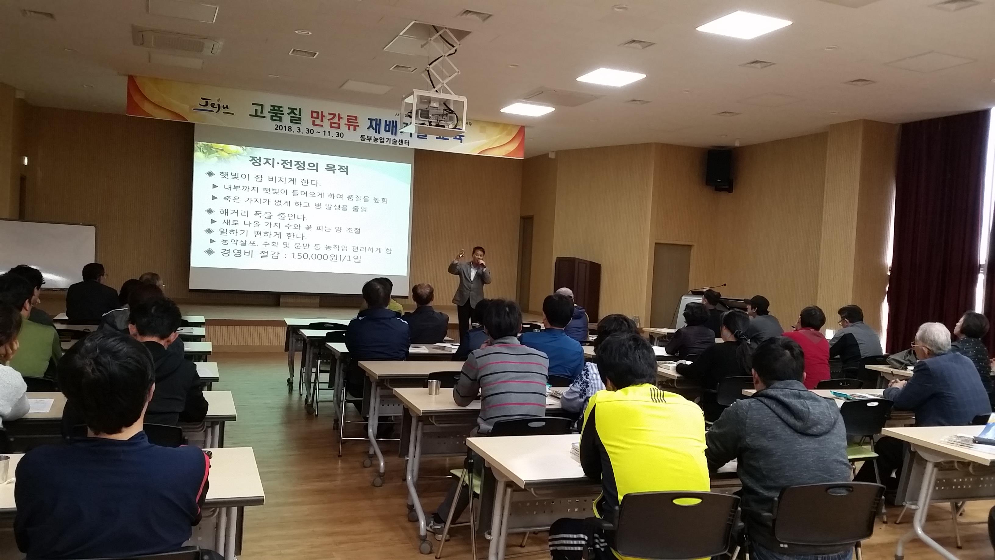 고품질 만감류 재배기술 교육(1회차) 추진