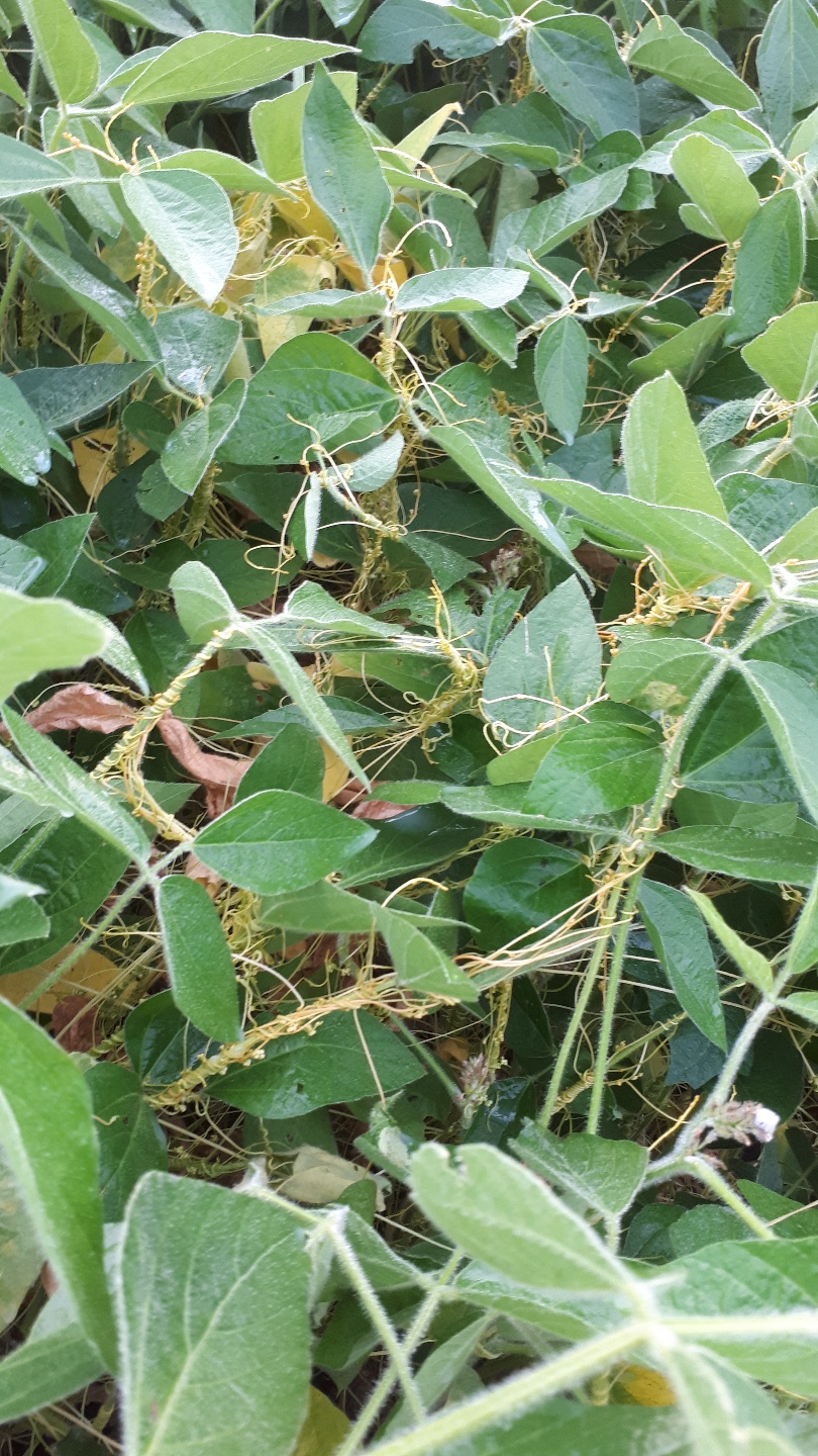 방제법을 알려주세요