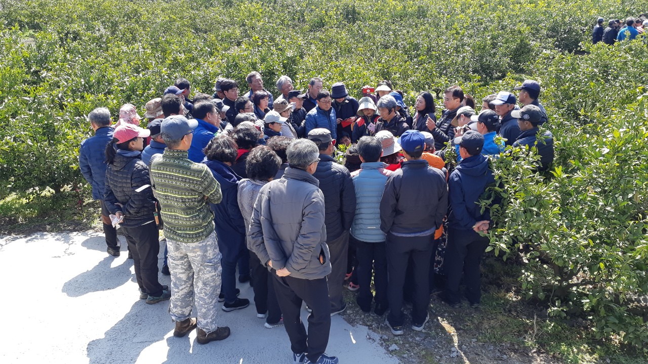 노지감귤 정지, 정전교육(서부센터)