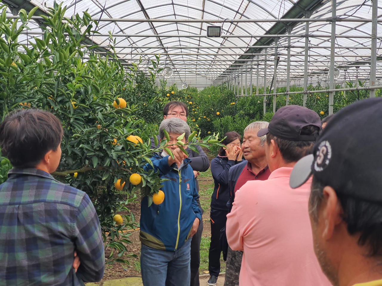 2020 한경농협 청년부 만감류 현장컨설팅 결과