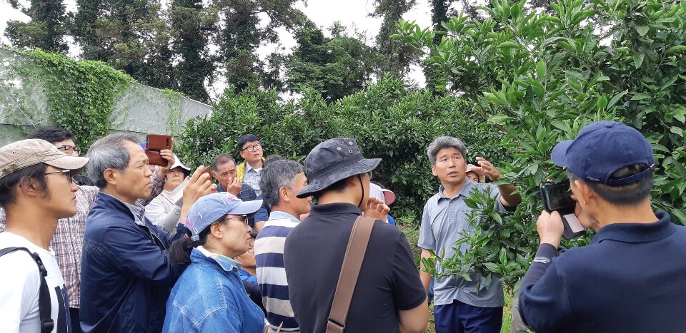 감귤현장컨설팅(서부친환경연구회)