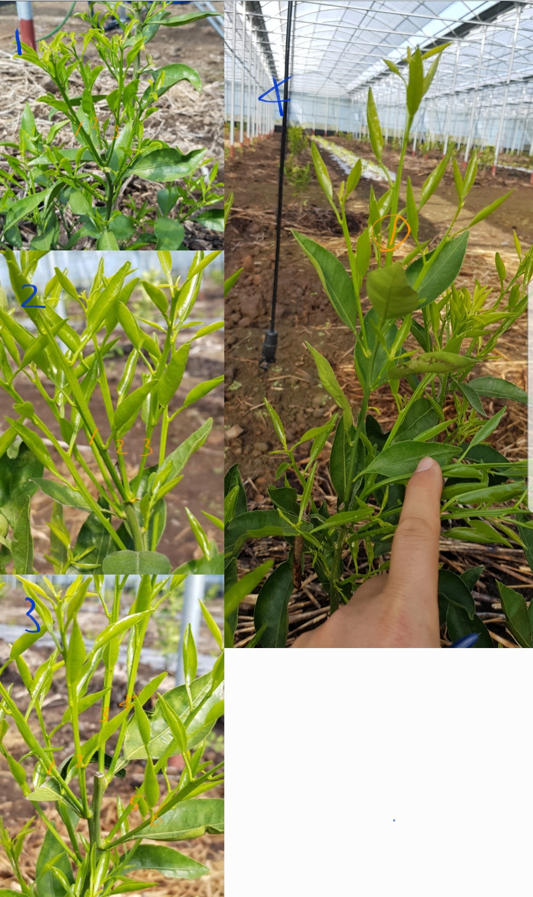 순지르기 질문드립니다