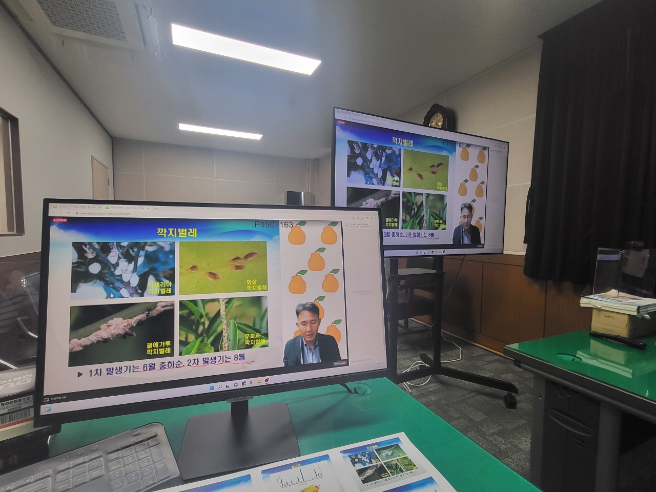  2022년 노지감귤 재배기술 교육