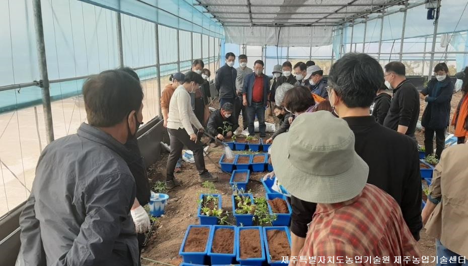    2021년 힐링 생활원예과정 교육