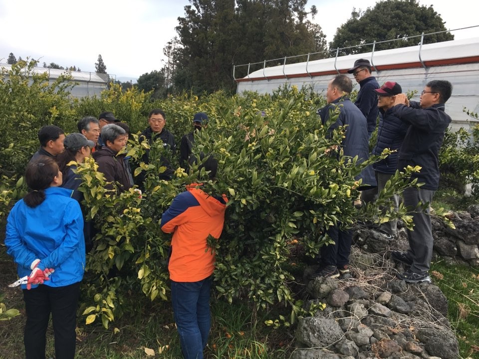 마을별 현장소통의 날 운영 (상창리)