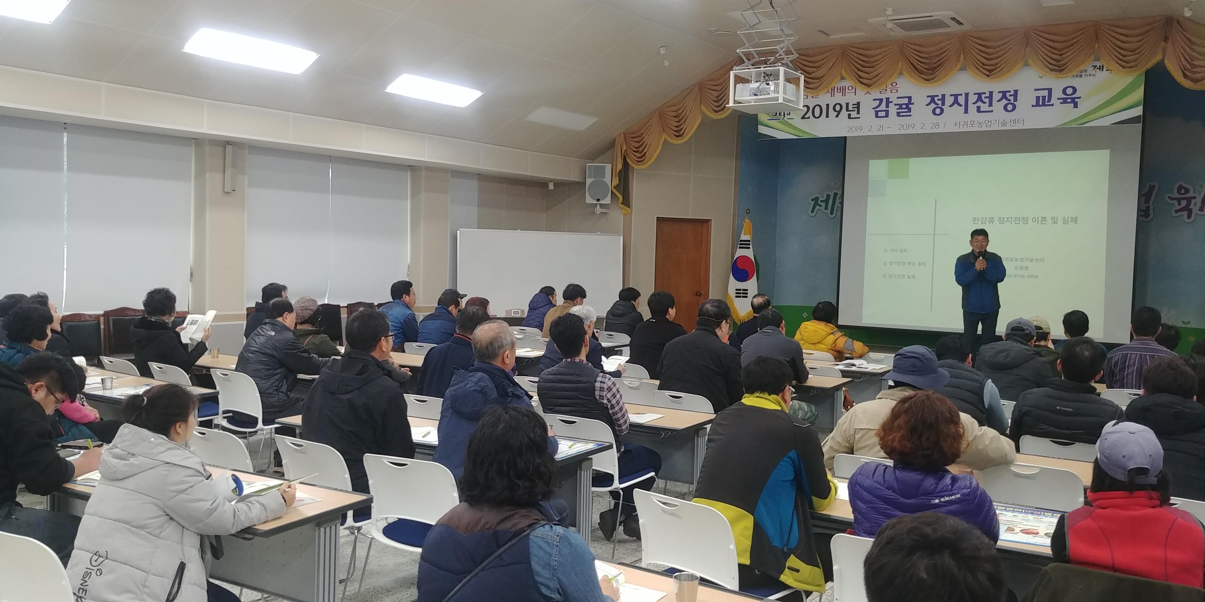 2019 천혜향 정지전정교육