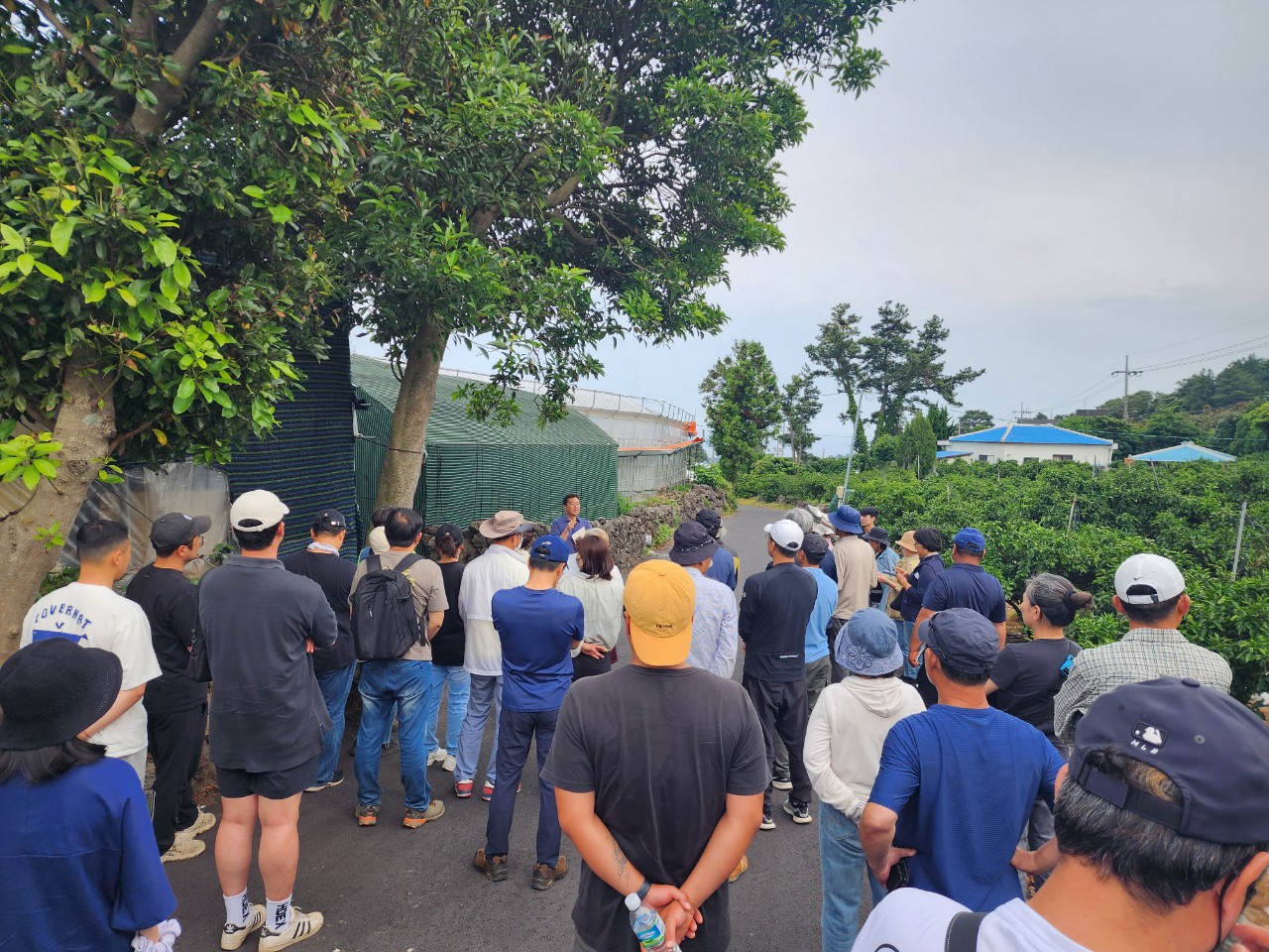 2023년 신규농업인 감귤재배 기초교육