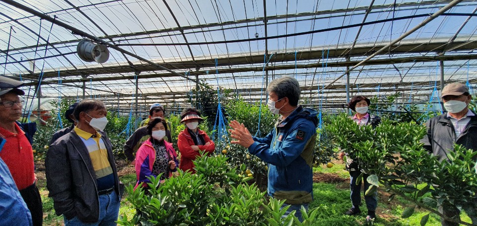 한경농협 만감류 공선회 컨설팅