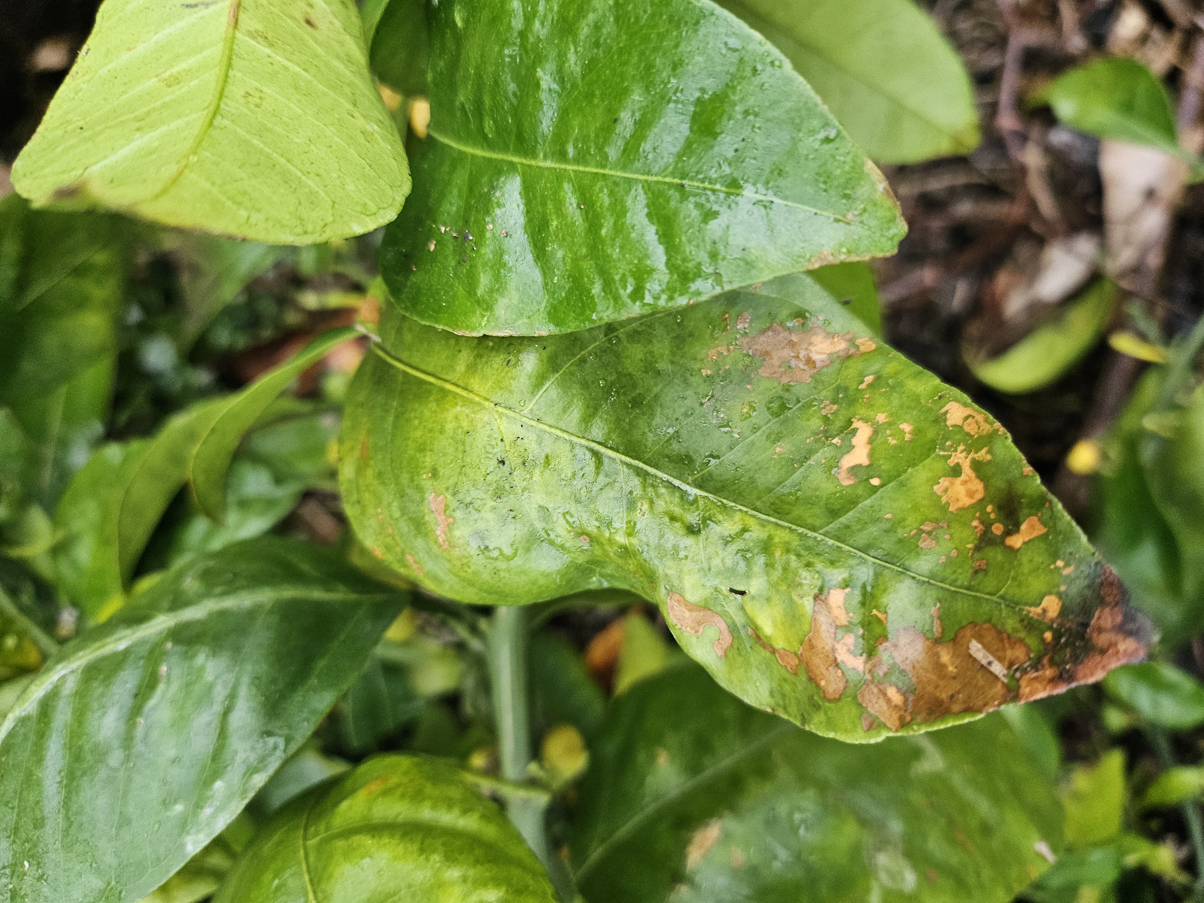 무슨 피해인지 몰라서 문의합니다.