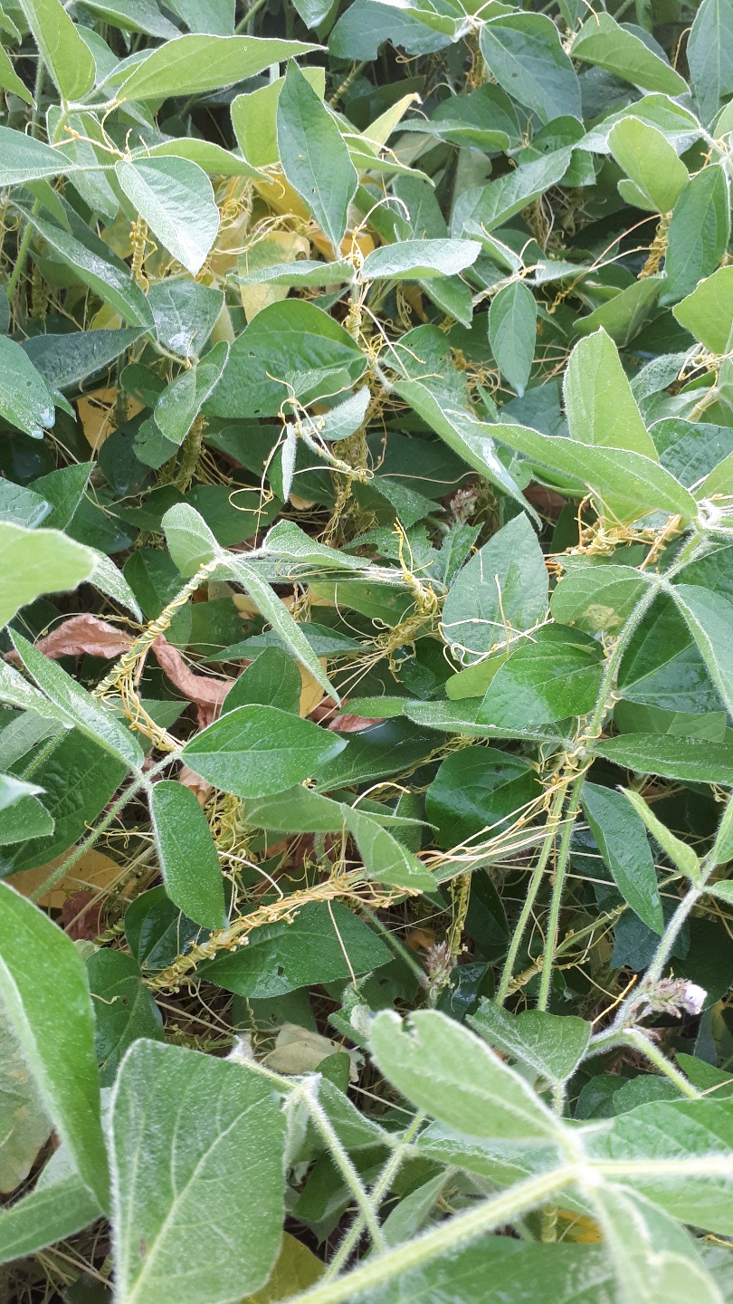 방제법을 알려주세요