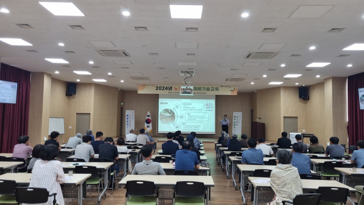 2024년 노지감귤 재배기술 교육(3회차)