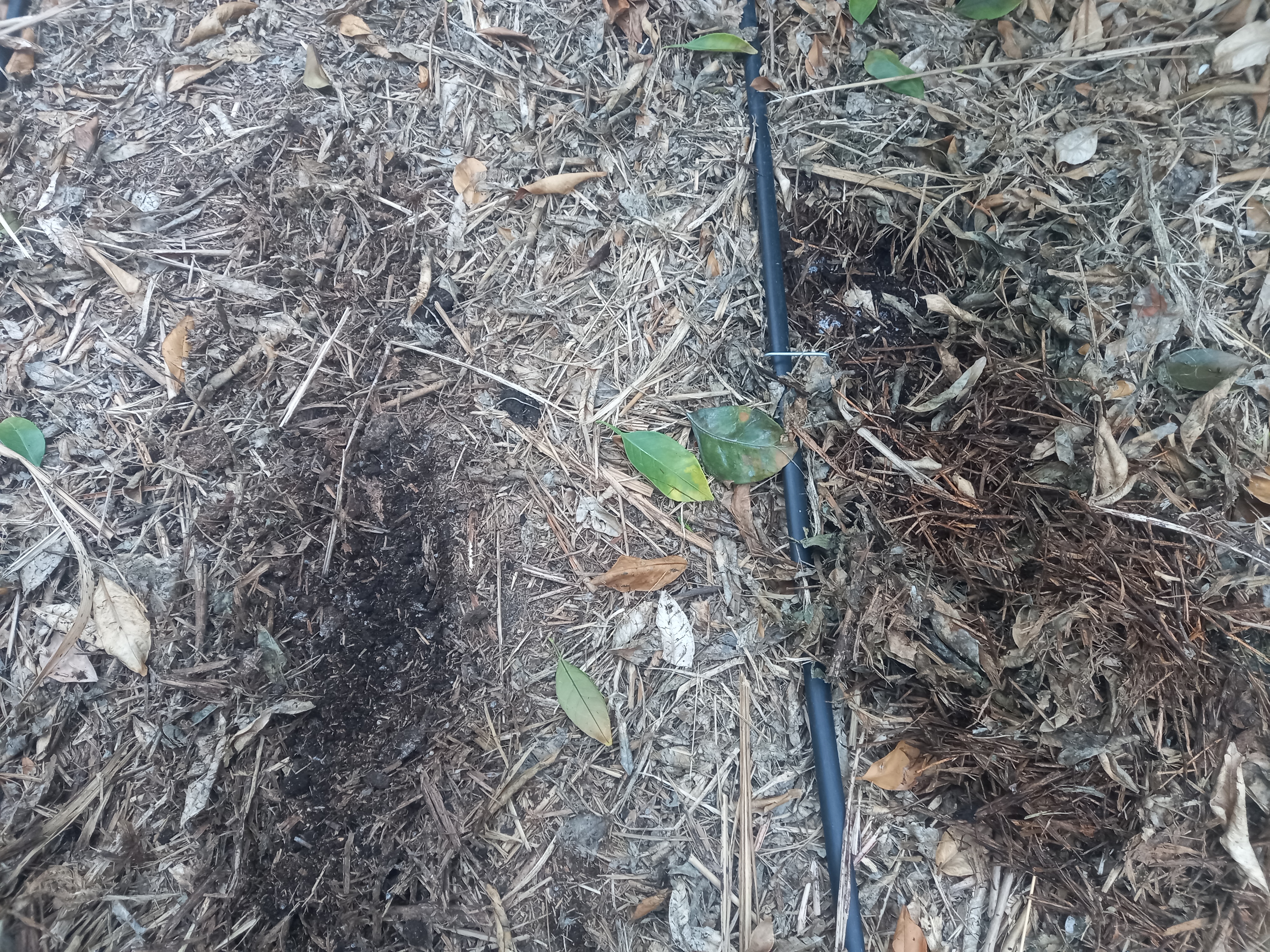 점적관수 사용시 물을 어느정도 줘야 할까요