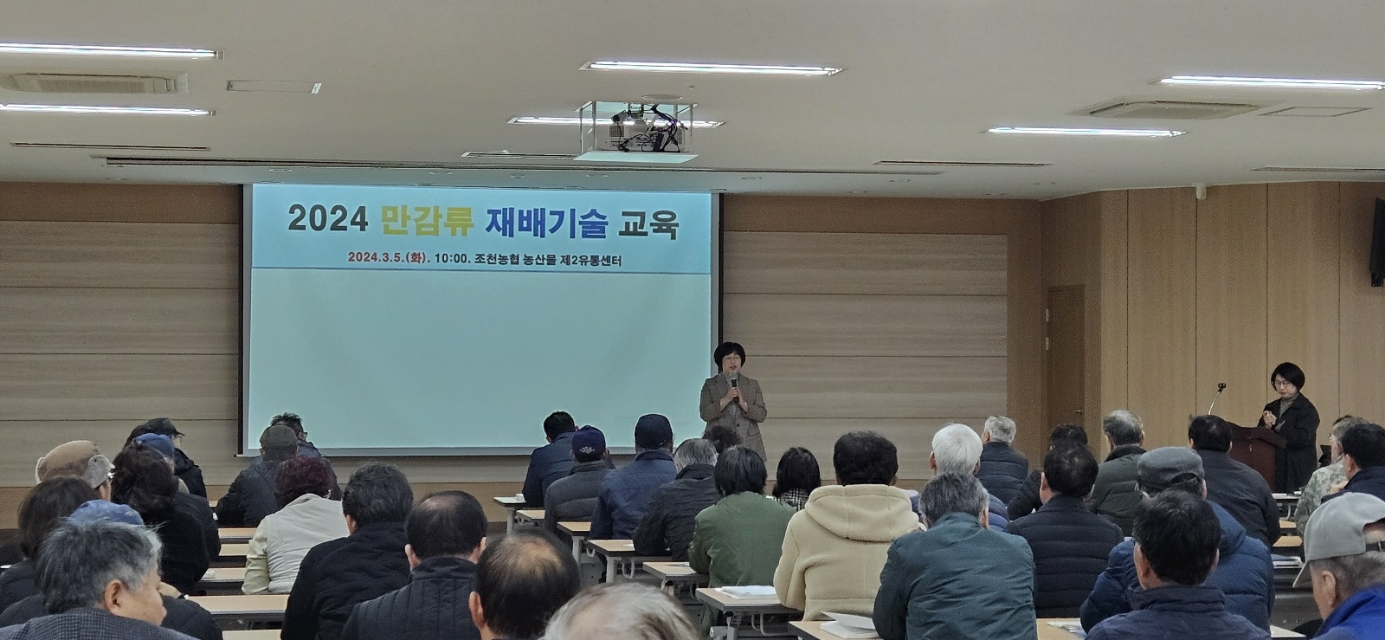 2024 만감류 및 노지감귤 교육 