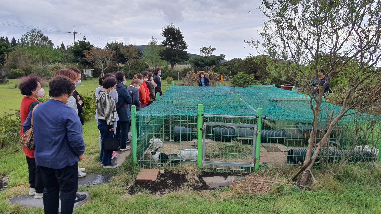 농촌융복합 치유농장 활성화를 위한 치유프로그램 시범 운영 (사월의 꿩)