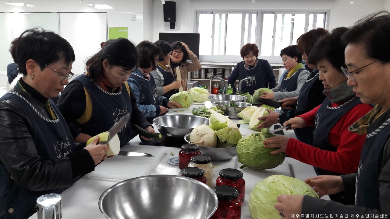 월동채소 가격회복을 위한 소비촉진 교육 