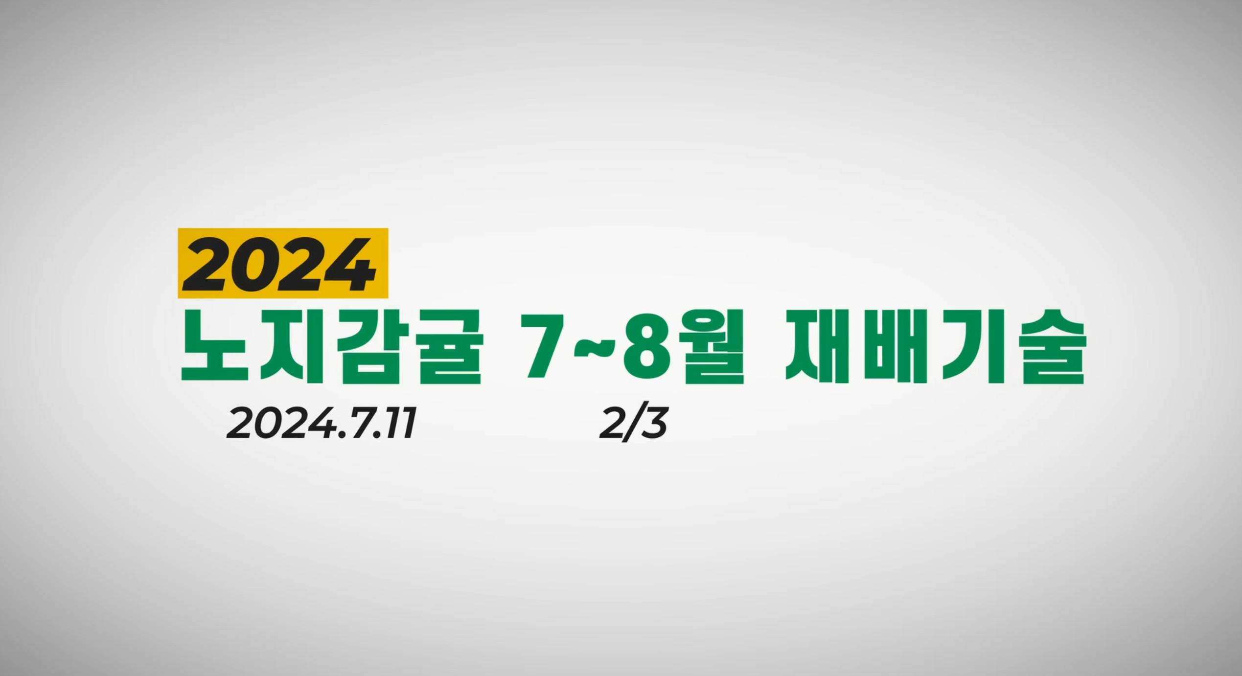 2024_노지감귤7-8월재배기술교육_2
