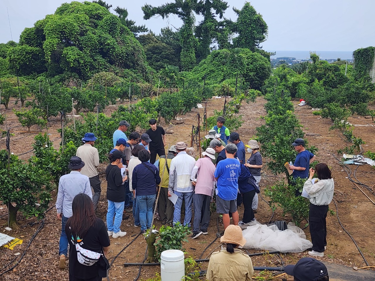 2023년 신규농업인 감귤재배 기초교육