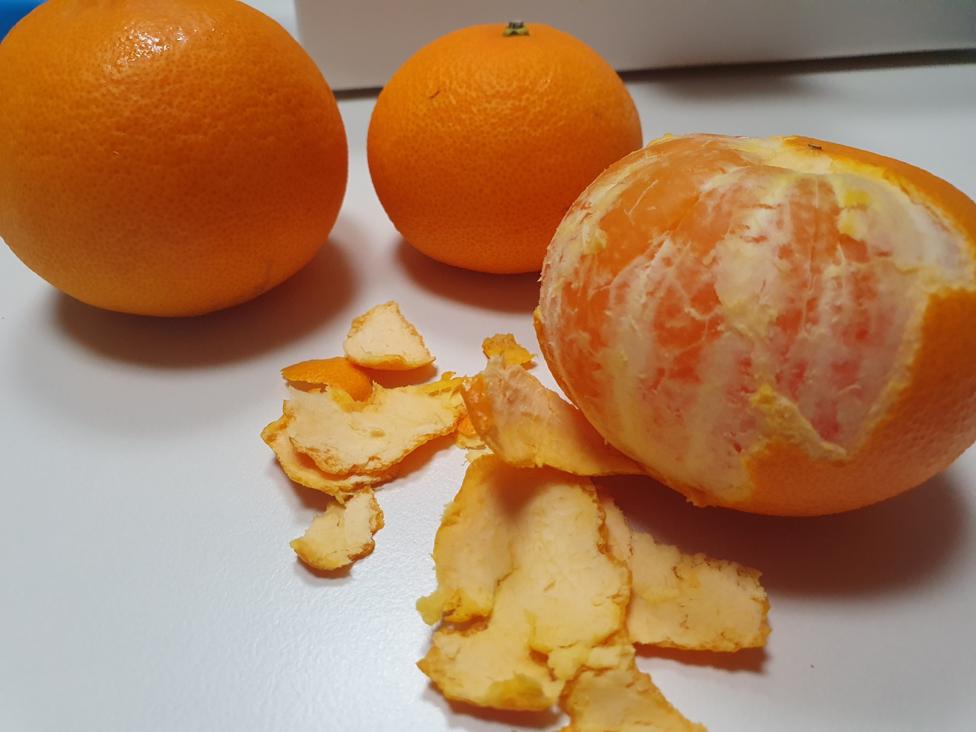 감귤 판별이 가능한가요??