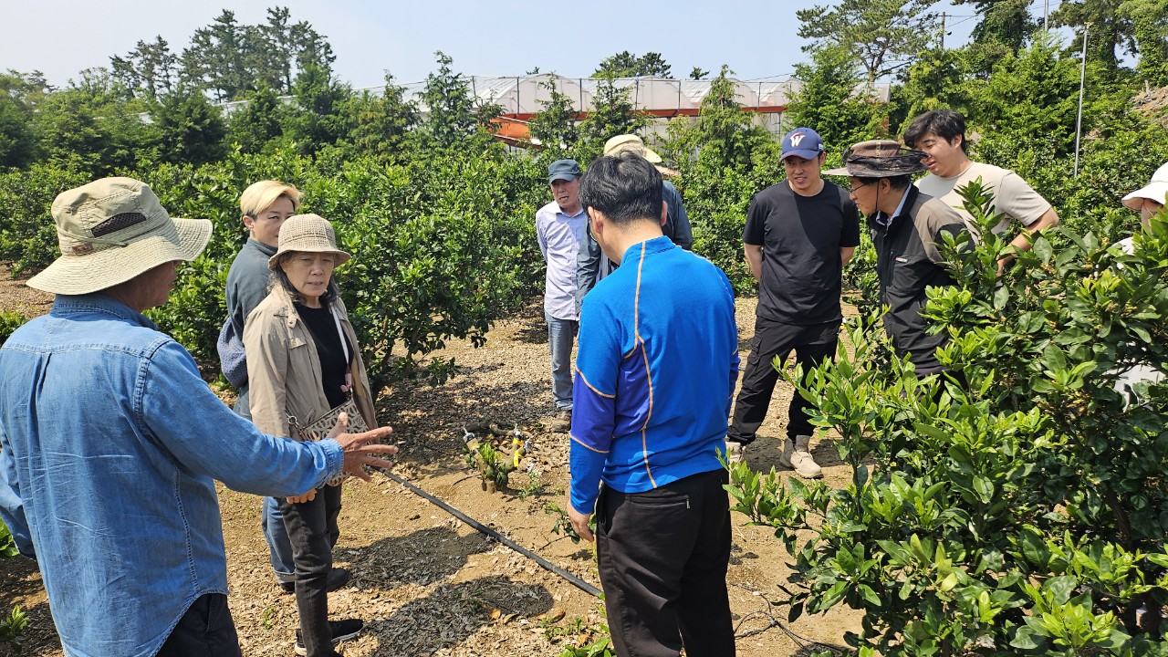 2025년 신규농업인 기초영농기술교육(감귤A반 2차)