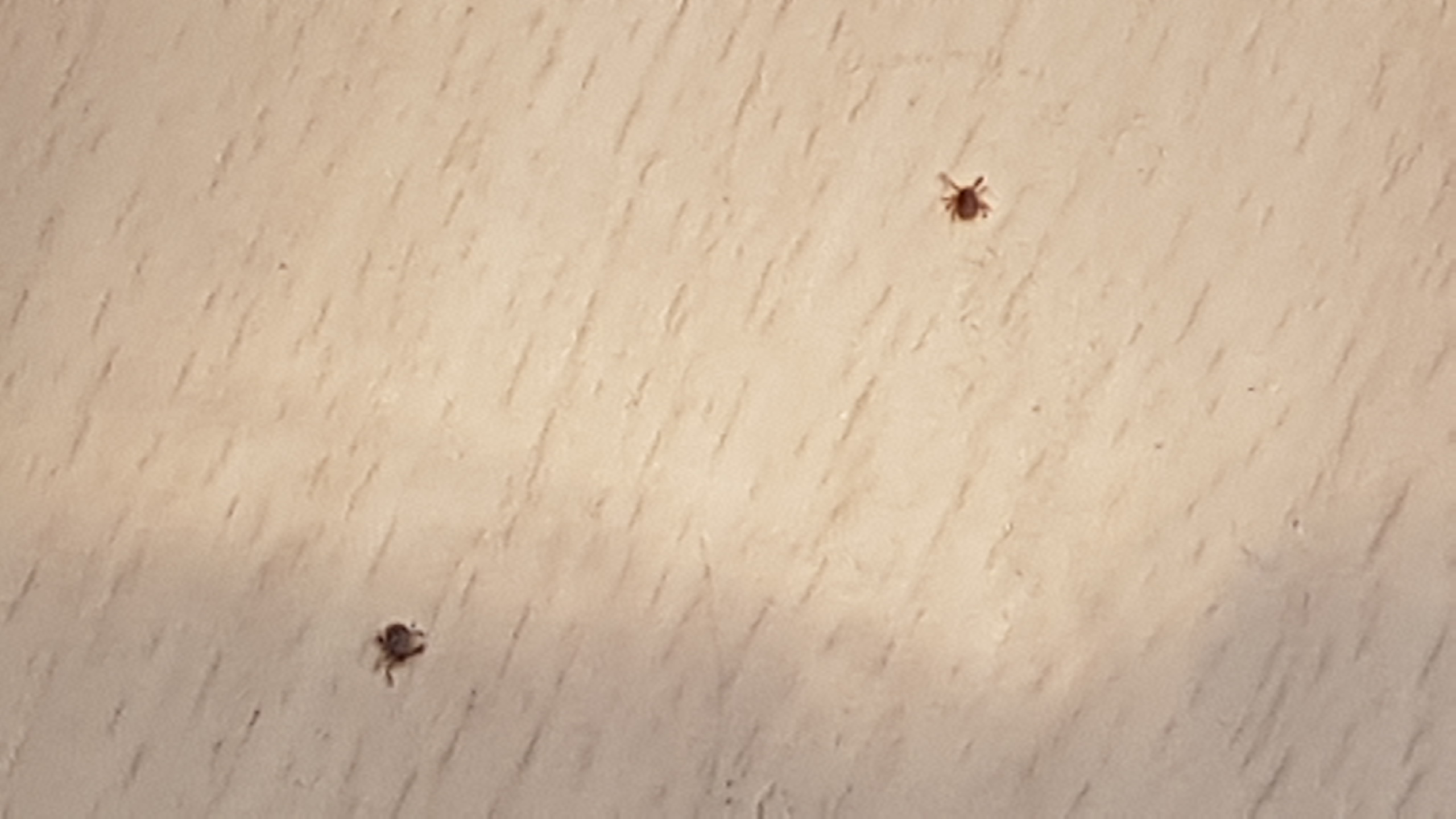 밭에 방제를 어떻게할까요?