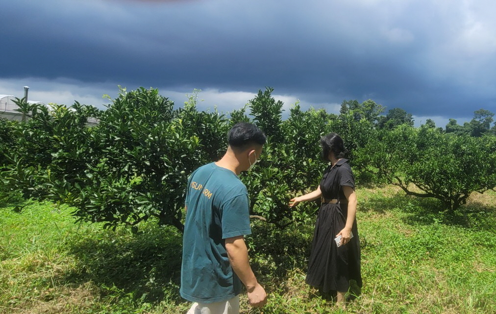 2022 청년농업인 및 농가경영 개선지원 컨설팅 추진