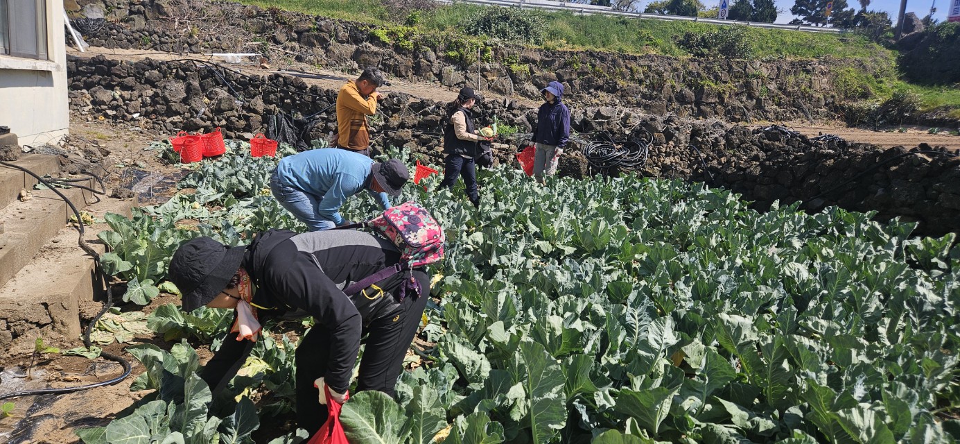 2025년  신규농업인 기초영농 기술교육