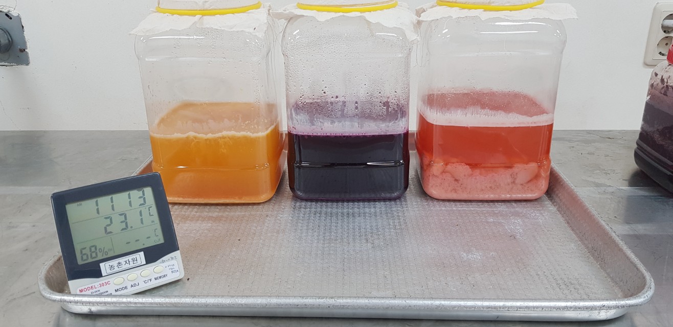 발효의 꽃 <천연발효식초 아카데미> 교육