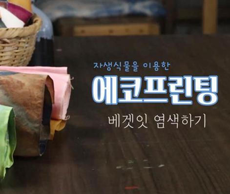 온라인 체험행사(에코프린팅 염색 베갯잇 만들기)