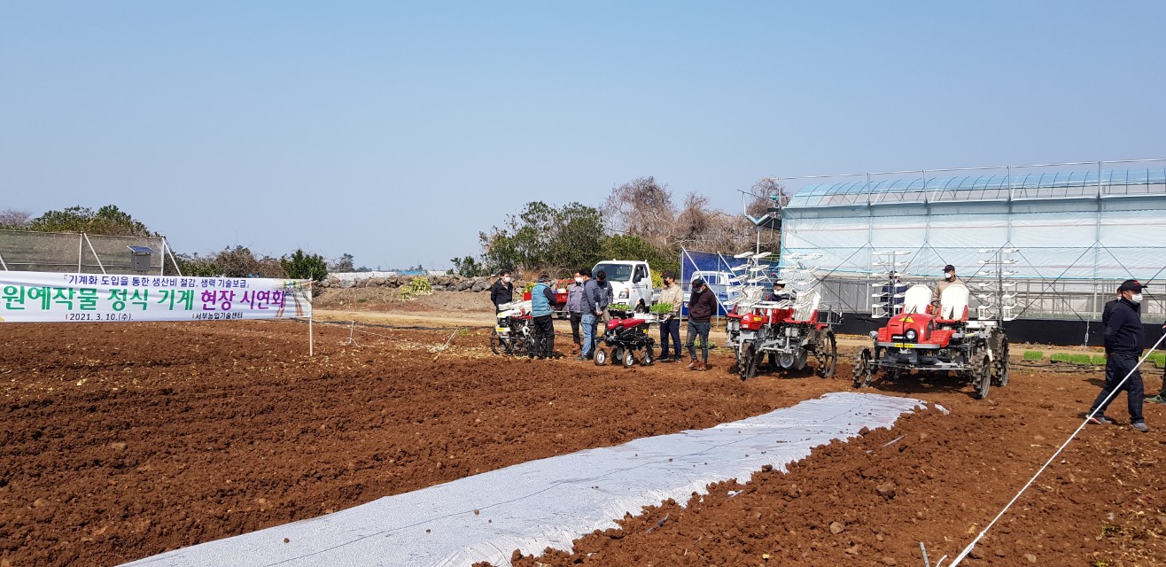 원예작물 정식 기계 현장 시연회 