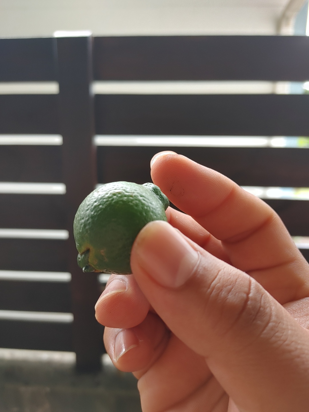 사진과 같은 현상이 일어나는 정확한 이유가 궁금합니다