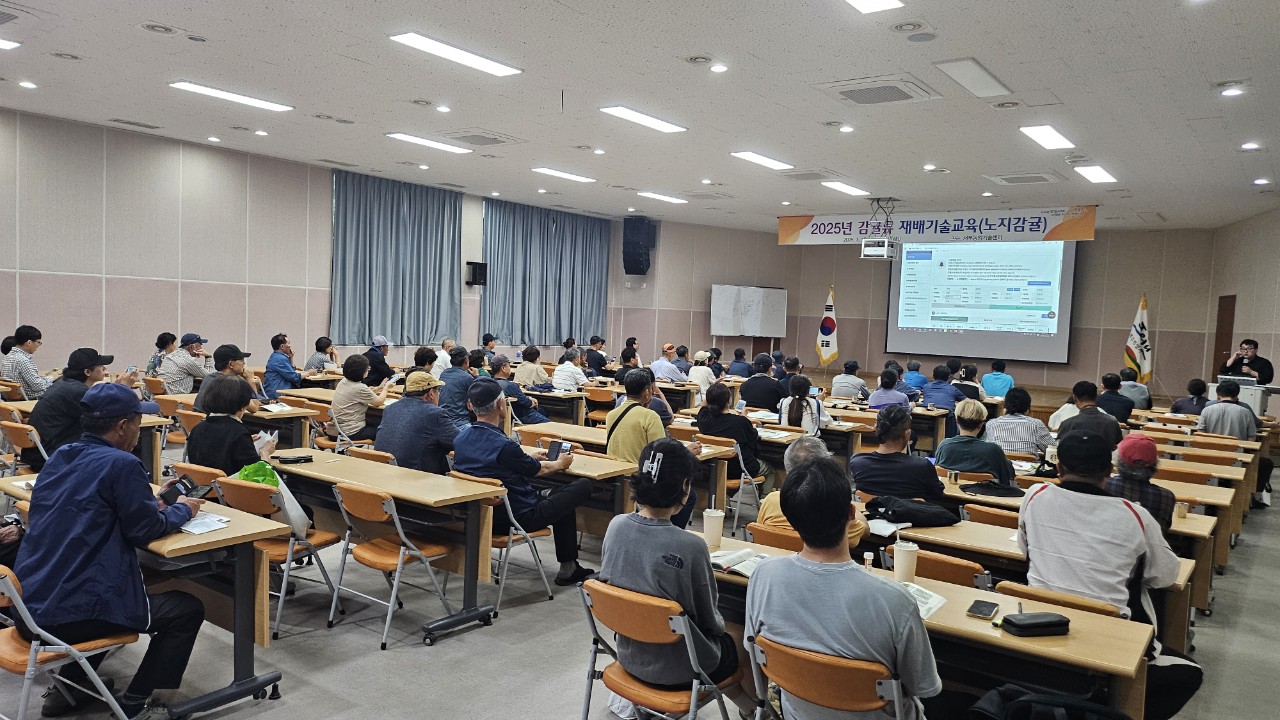 노지감귤 재배기술 교육(2회차)