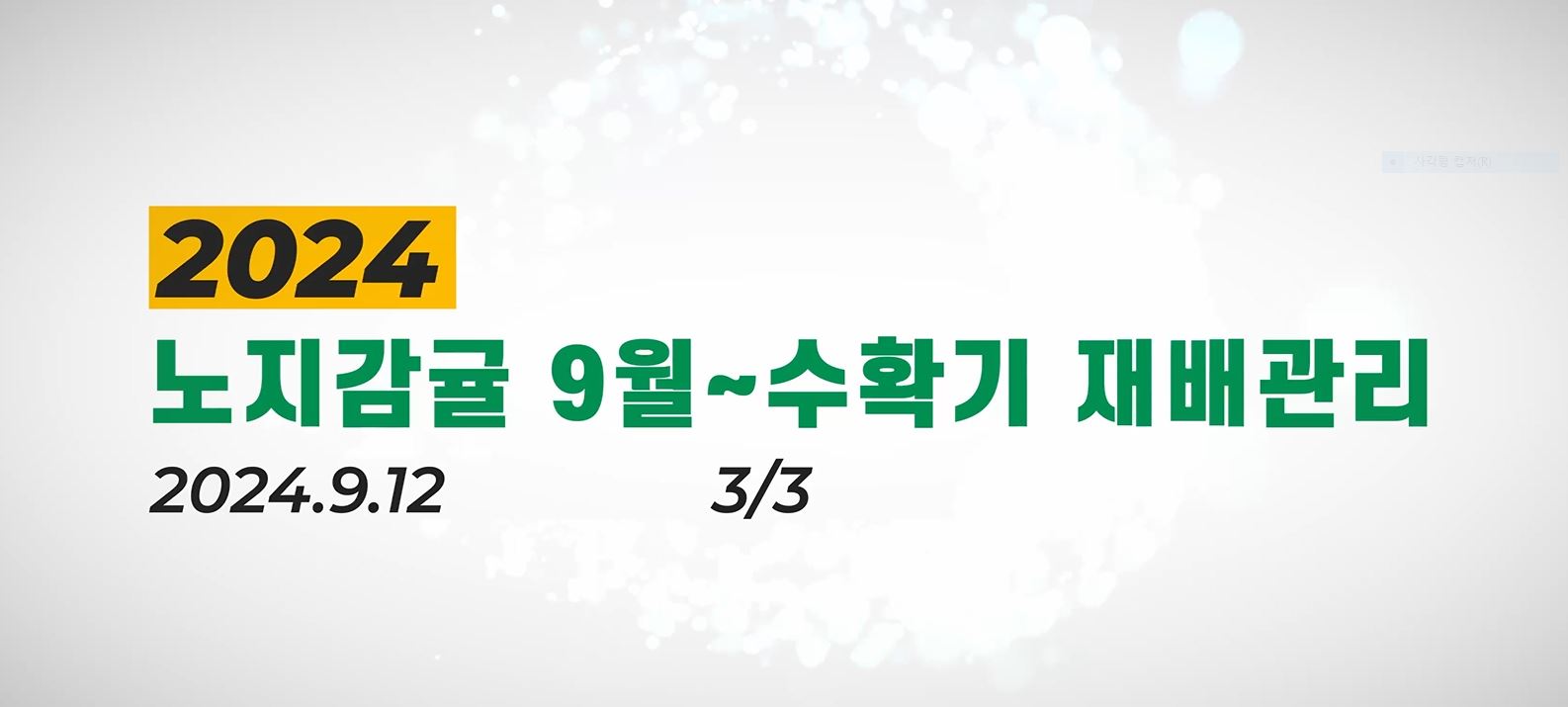 노지감귤 9월~수확기 재배기술 3
