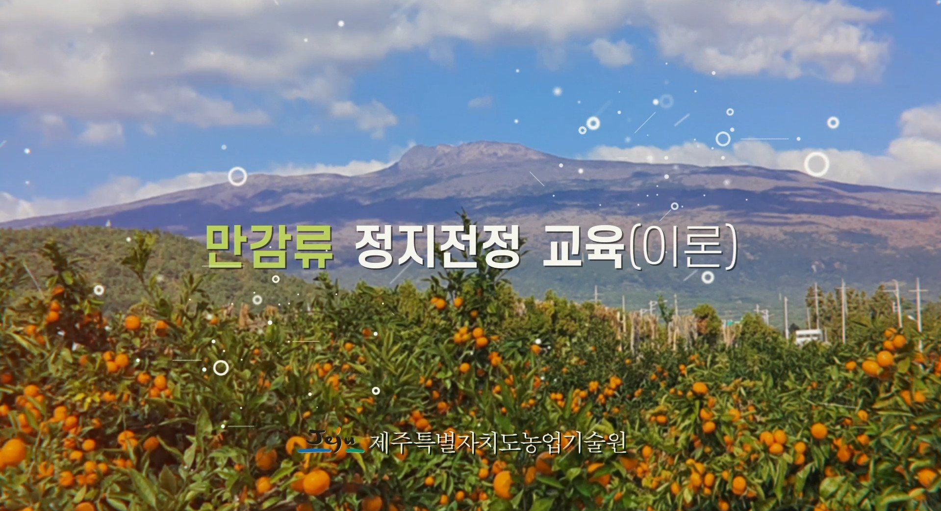 농업기술원 강의_만감류