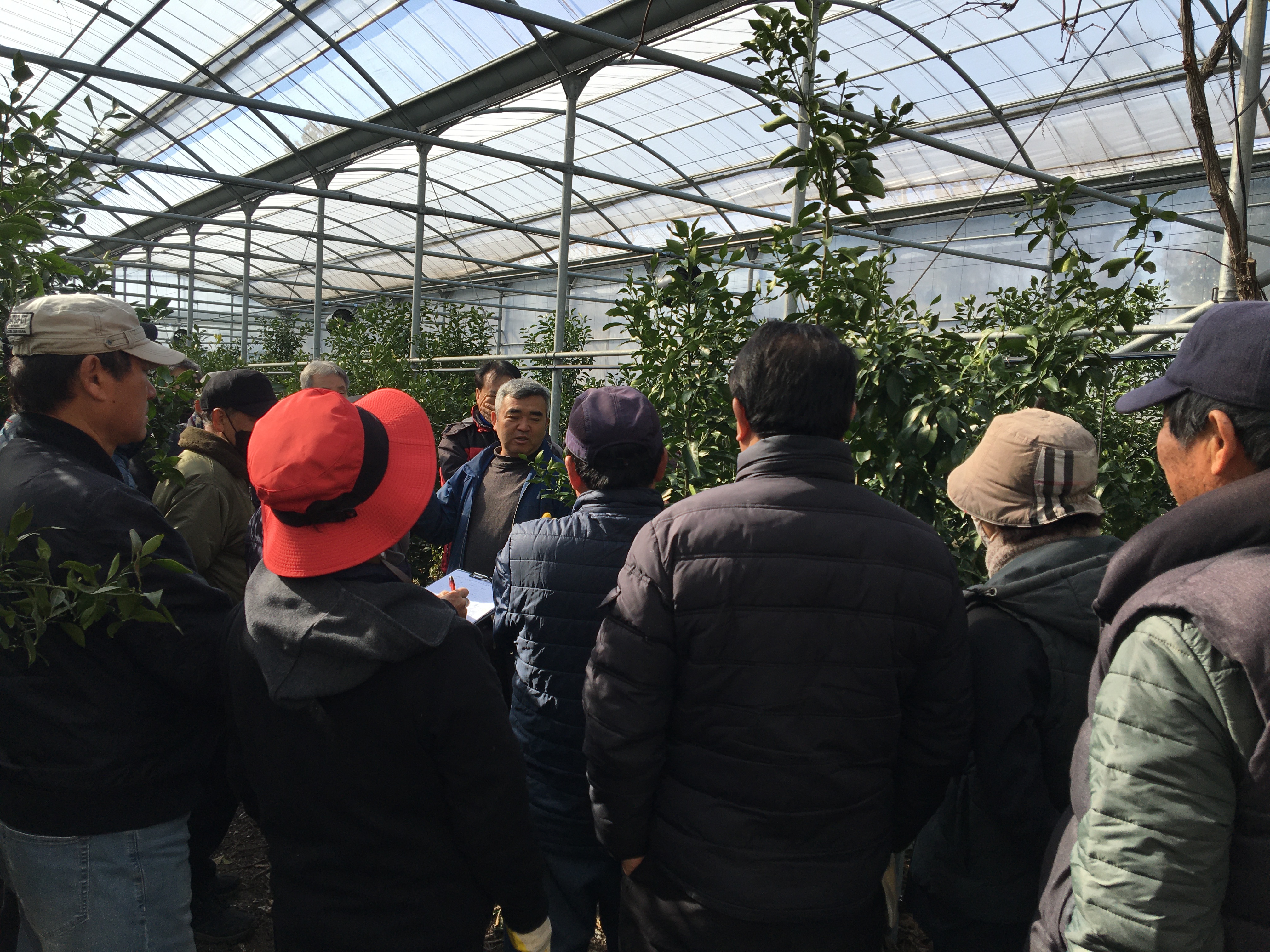 만감류 정지·전정교육