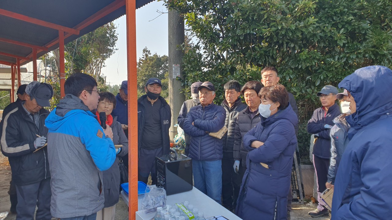 2023 노지감귤, 만감류 정지·전정 기술 교육 