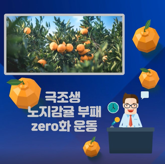 극조생감귤 부패과 zero화 운동 UCC
