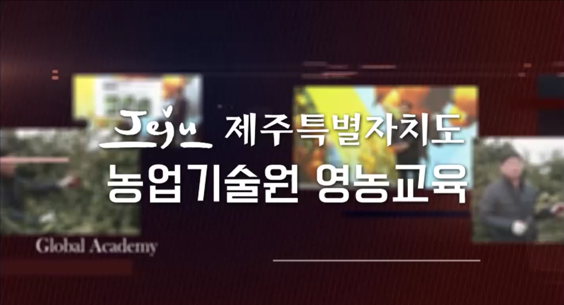 노지감귤재배기술교육(9~10월)