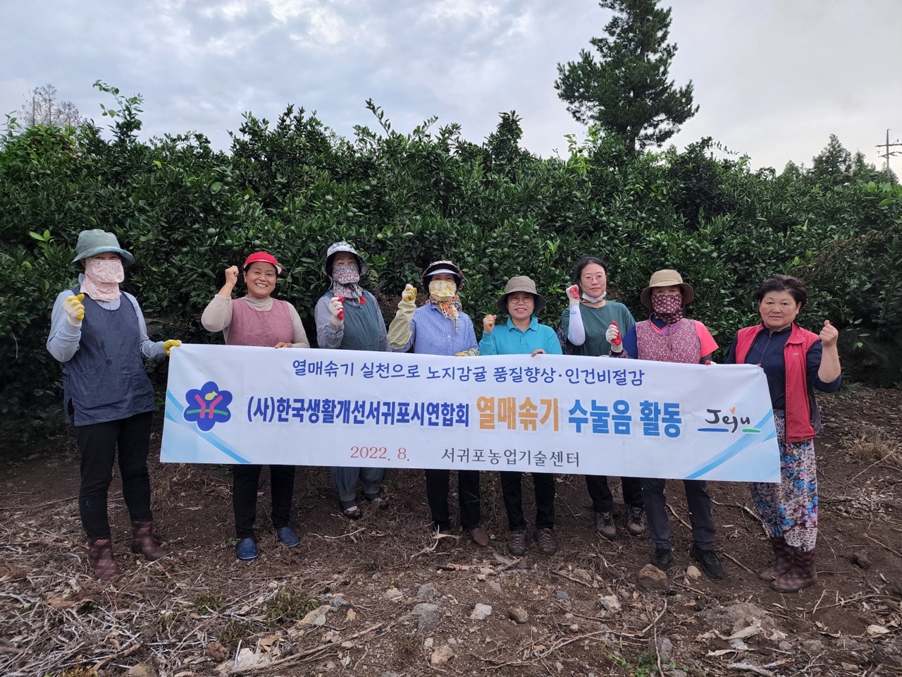  고품질감귤 안정생산을 위한 생활개선회원 열매솎기 수눌음 지도