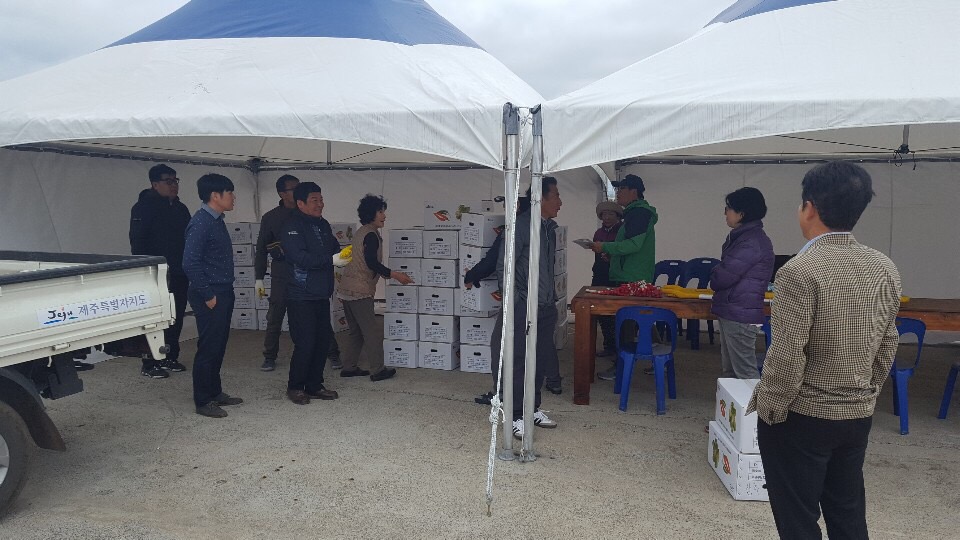 고추 묘종 지원(가파도)