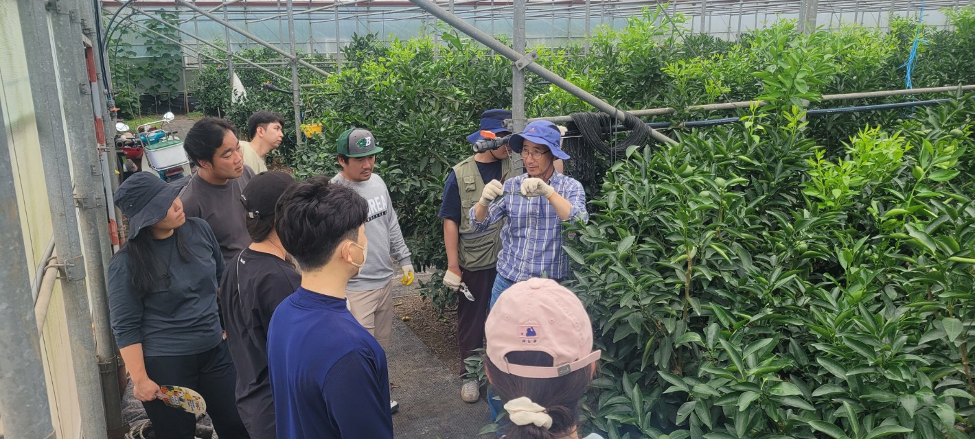 2023 청년농업인 감귤류 여름철 정지․전정  컨설팅