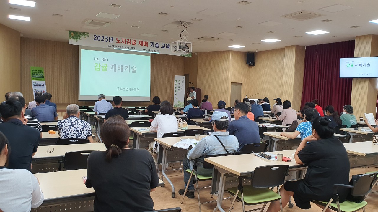 2023년 노지감귤 재배기술 교육