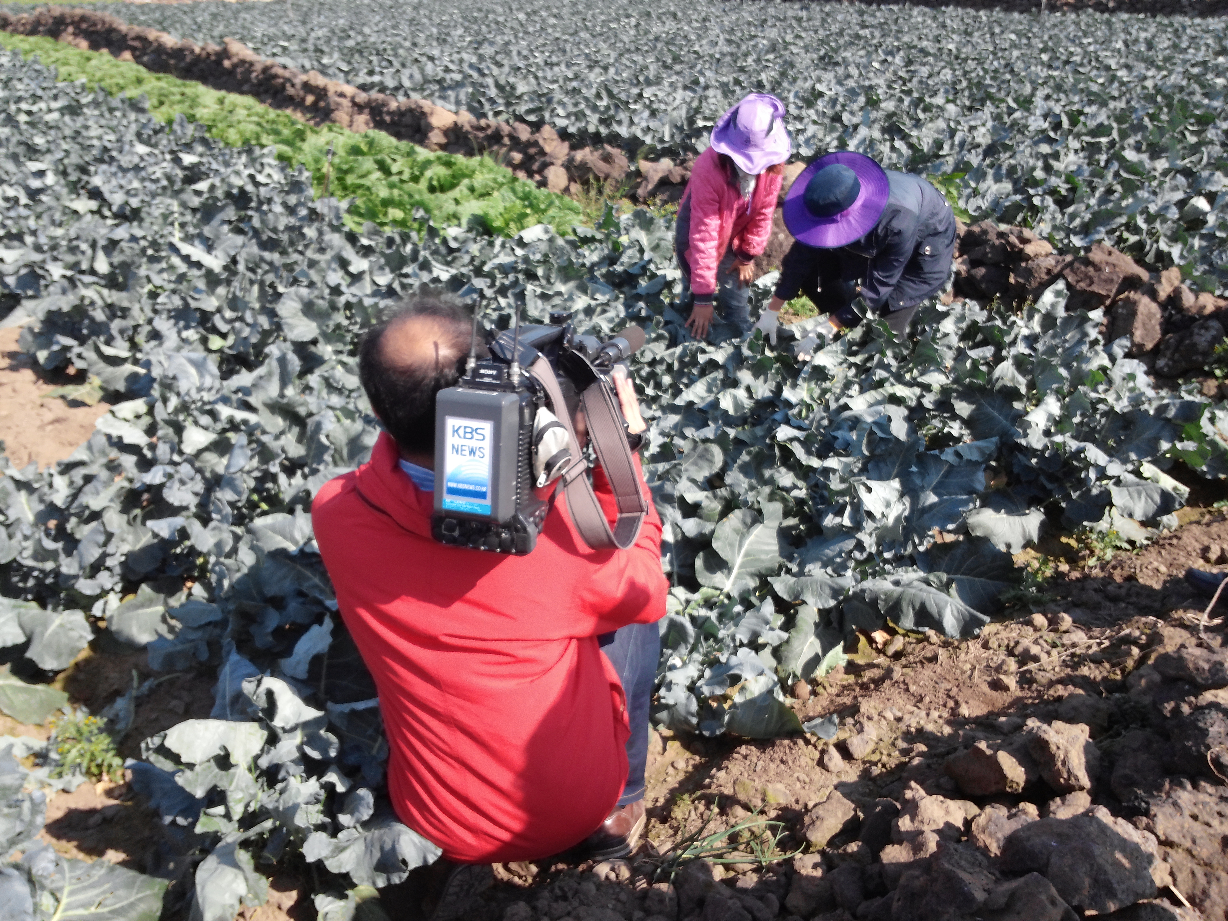 결혼이주여성의 재배기술능력 습득을 위한 멘토링 운영 촬영