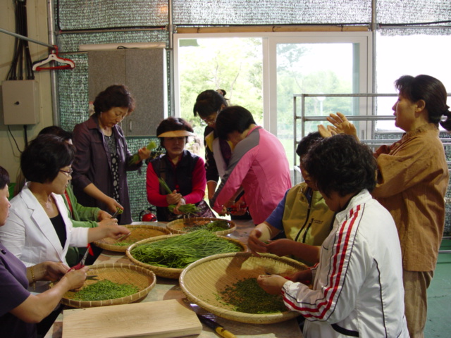 야생화차 제조교육