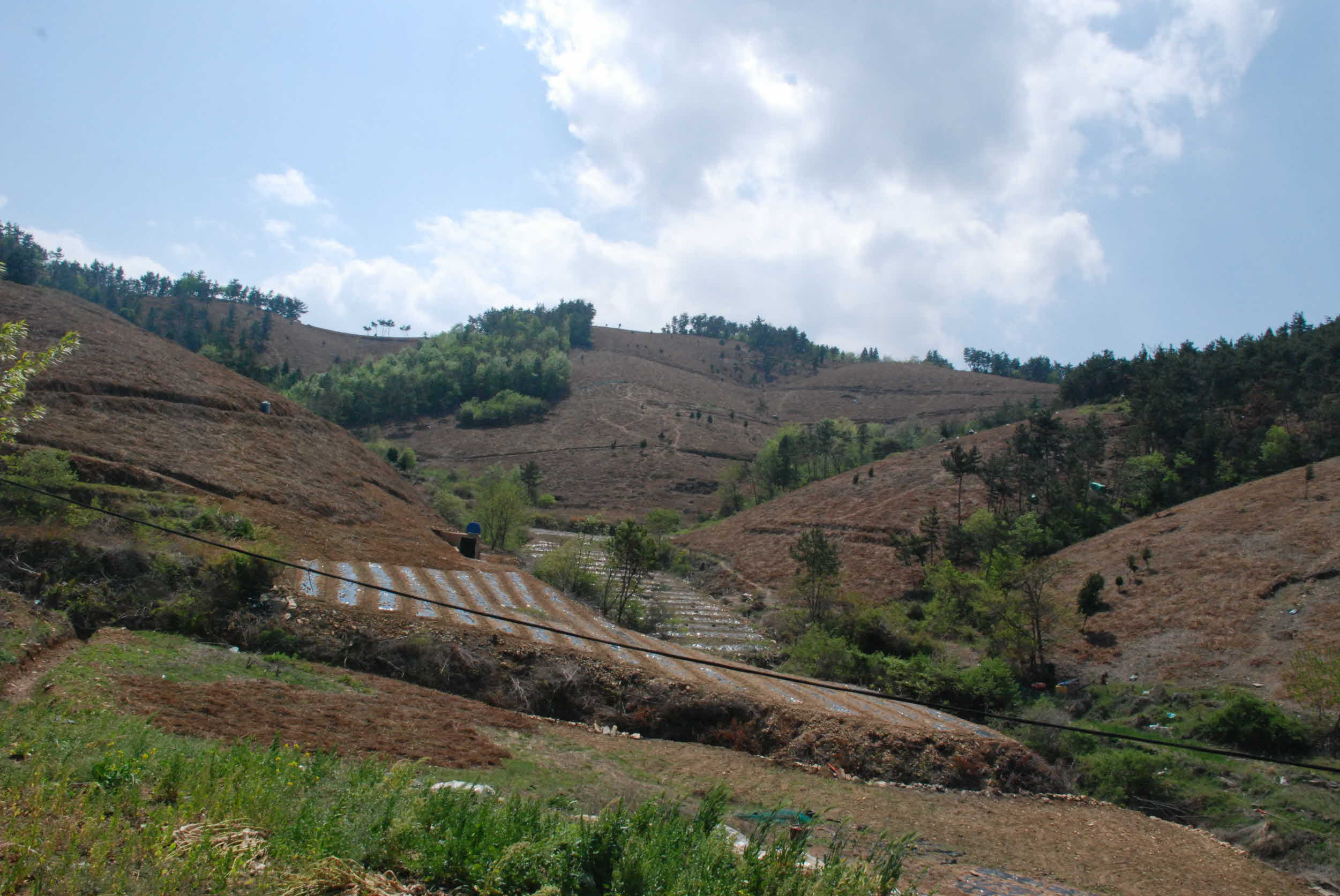 기다림의 미학, 발효음식 교육(1회차)