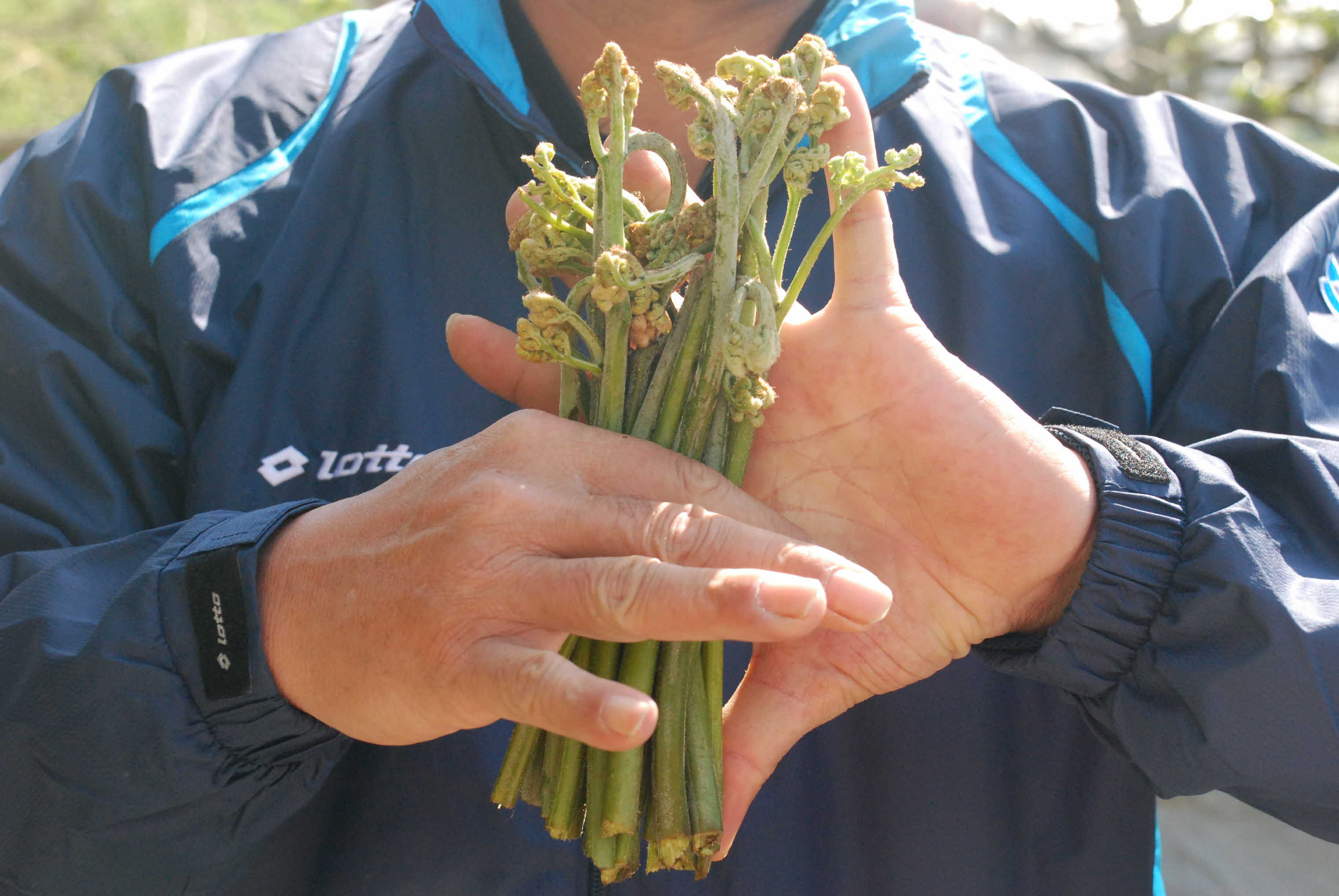 고사리 생산 단지 견학 현장