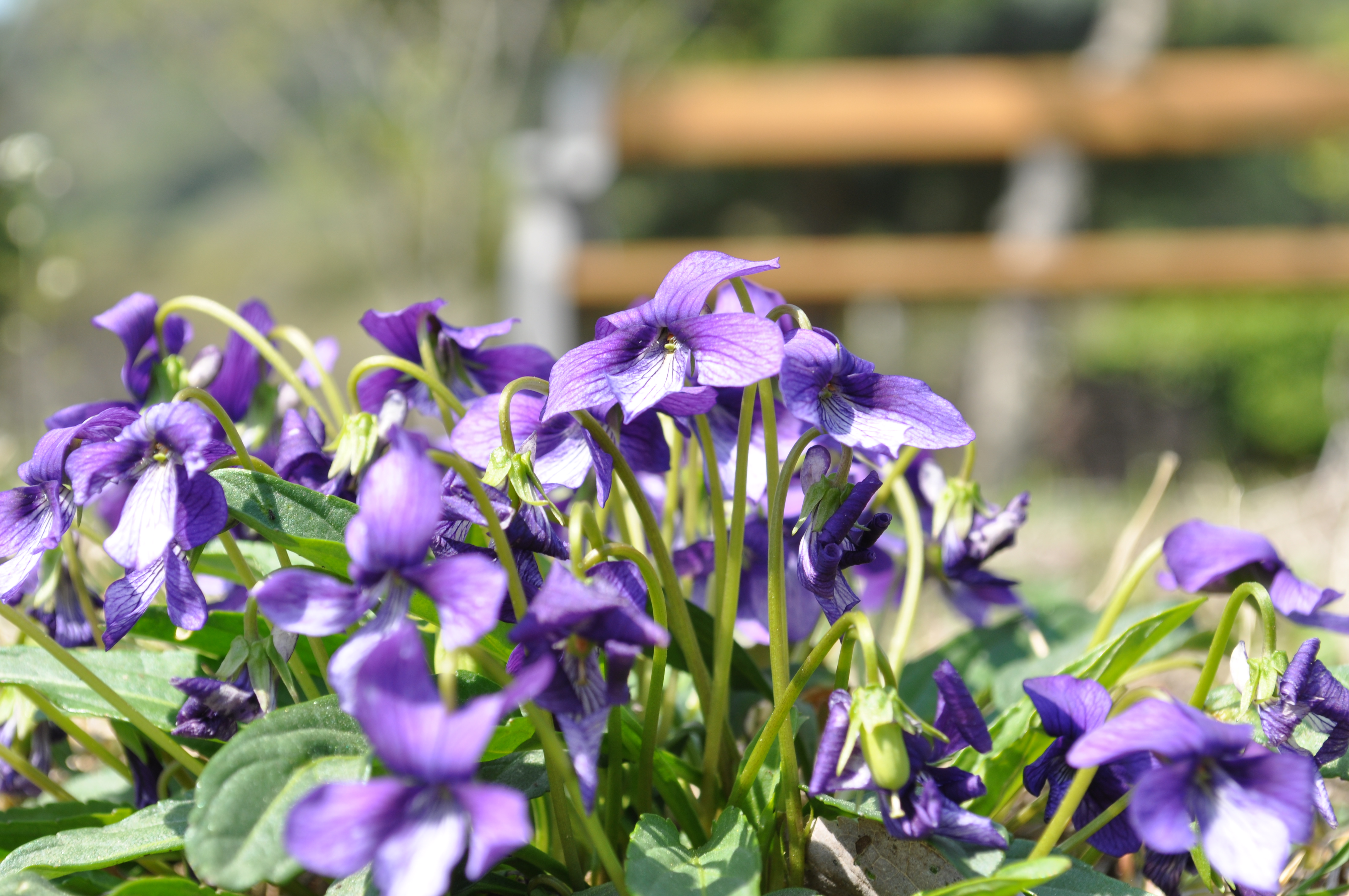 자연이 주는 선물