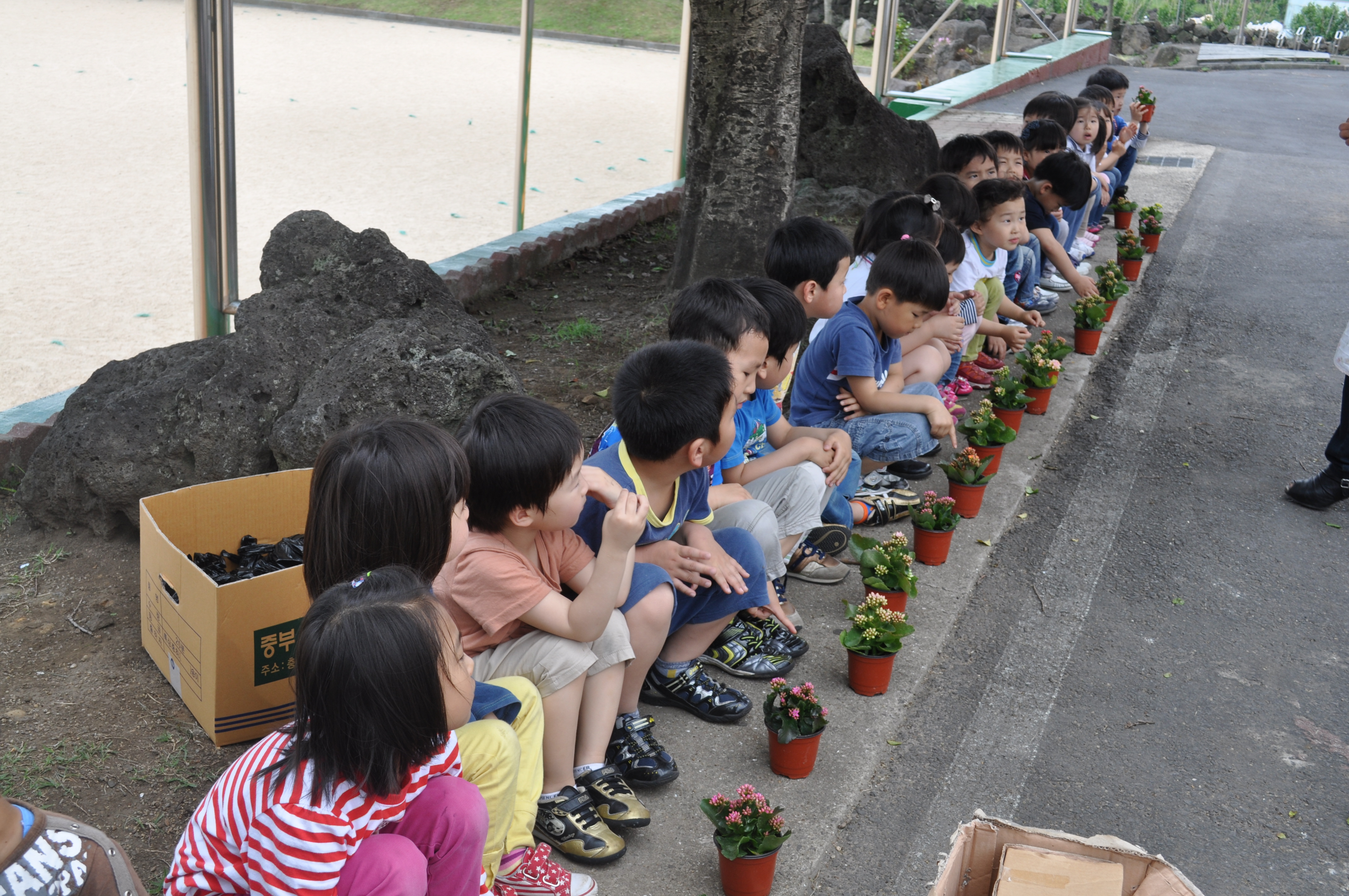 공동체정원만들기-토평초유치원